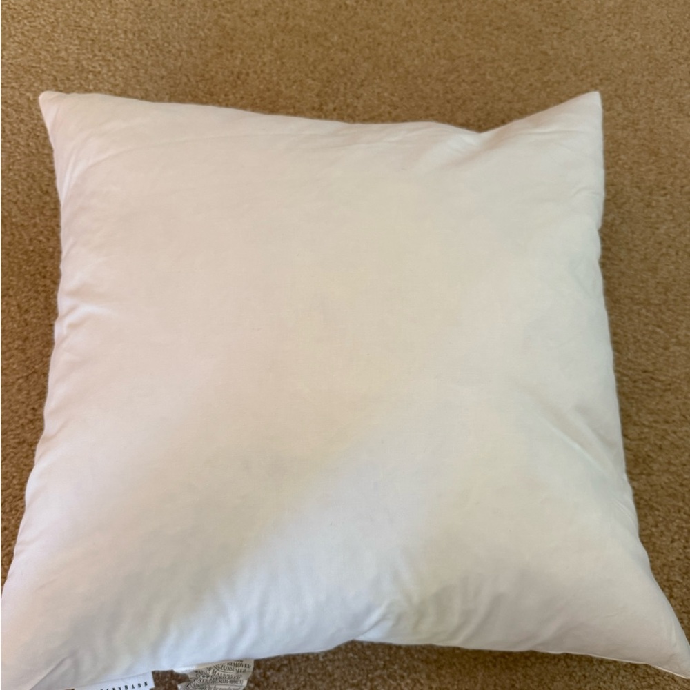 Pottery Barn- pillow insert 18x 18